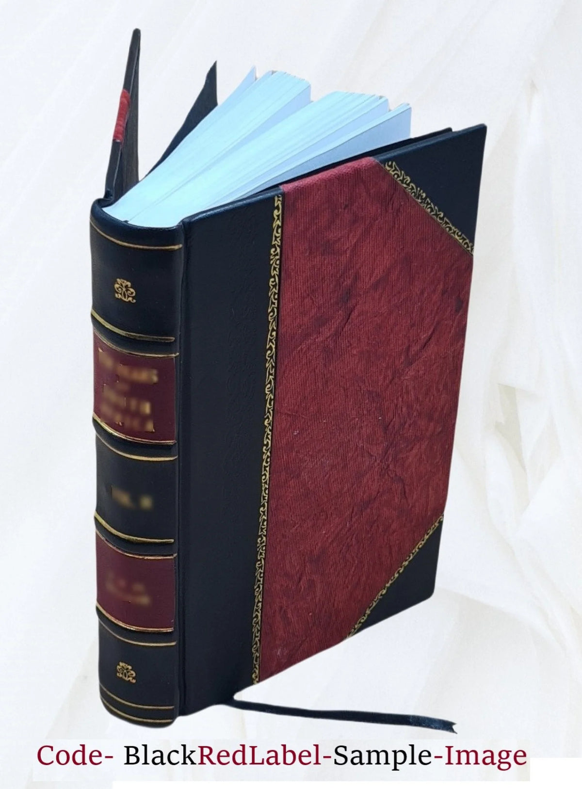 Leather Bound Book Q2824