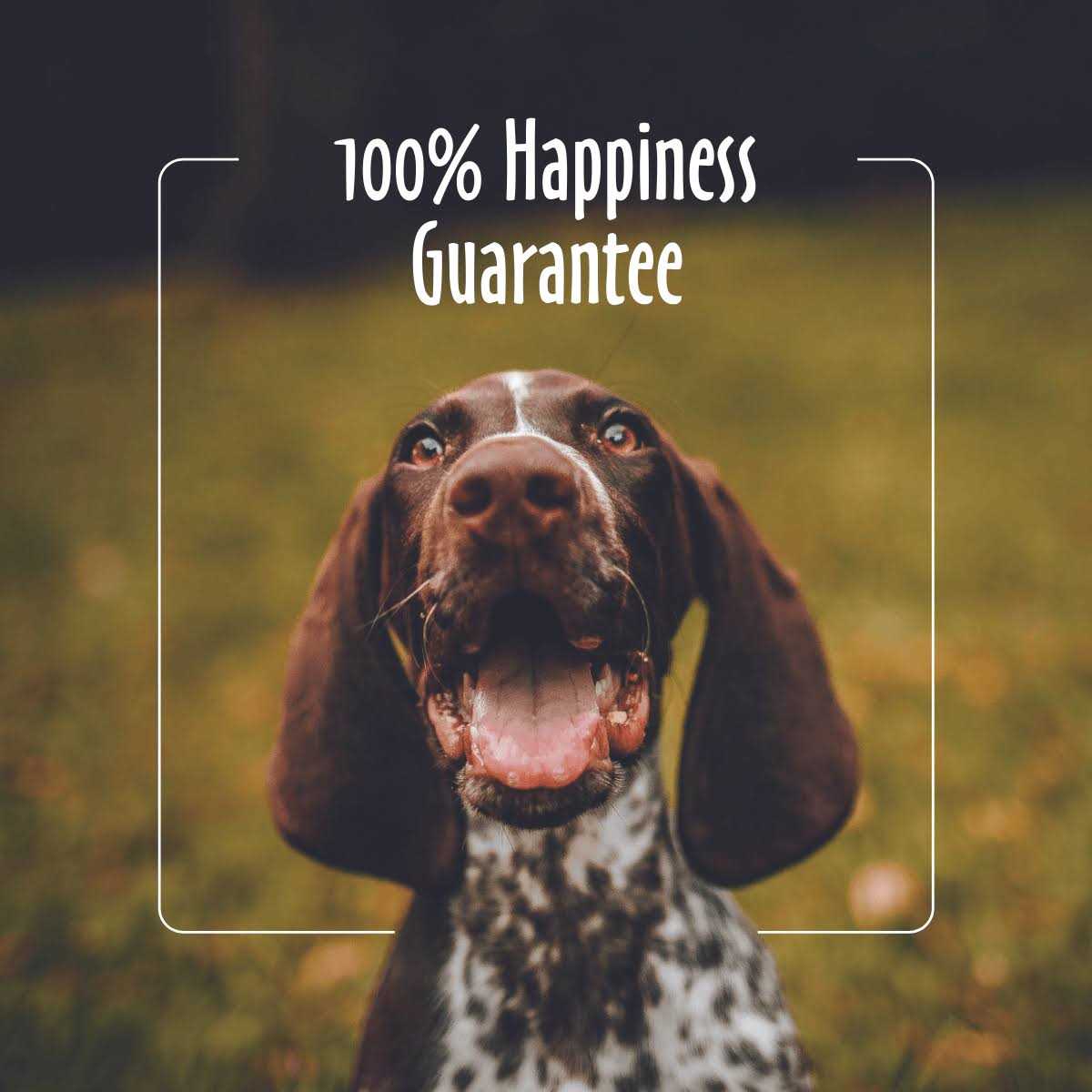 Facial Wipes for Dogs & Cats L307
