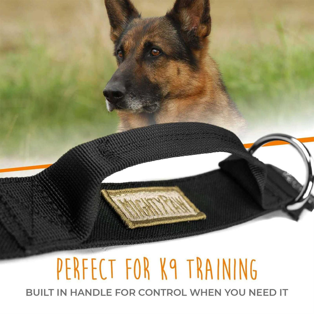 Heavy Duty Dog Collar with Metal Buckle Y45480